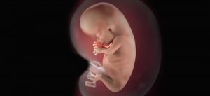سقط پس از ۱۸ هفتگی قتل عمد محسوب میشود