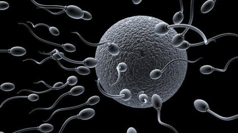 کم تحرکی اسپرم و سقط جنین