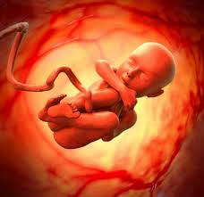 سقط جنین در هفته سوم بارداری 