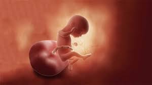 احتمال سقط جنین پسر در بارداری بیشتر است 