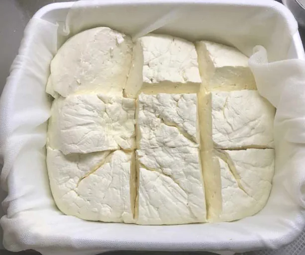 پنیر خام